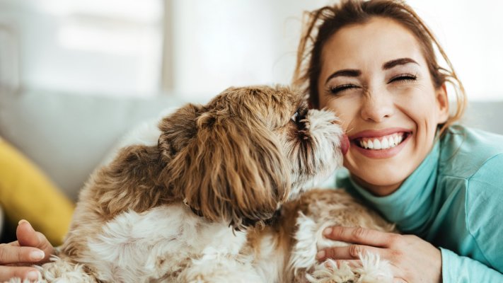 Liebe-dein-Haustier-Tag 2024: Der Valentinstag für Haustiere - Liebe-dein-Haustier-Tag 2024: Der Valentinstag für Haustiere