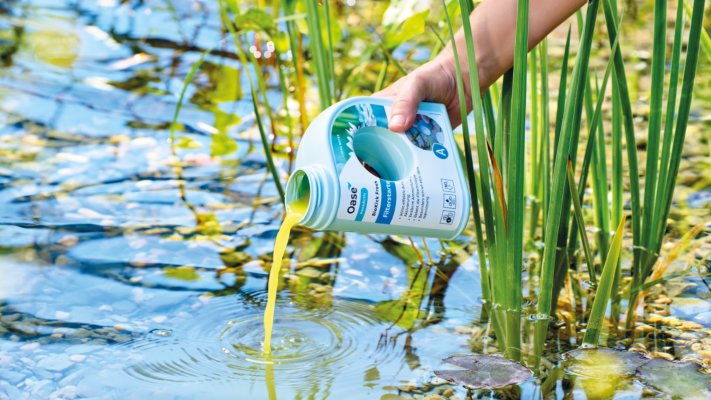 Frühlingserwachen im Gartenteich: Was jetzt zu tun ist - Frühlingserwachen im Gartenteich: Was jetzt zu tun ist