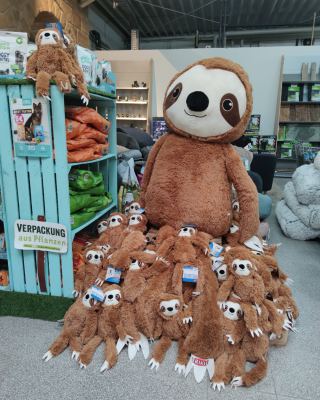 Valenta Zoo &amp; Garten spendet für Faultiere in Not - Spenden für Faultiere