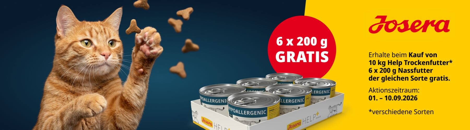 Orangefarbene Katze greift in der Luft nach Leckerlies. Beim Kauf von 10 kg Josera Help Trockenfutter gibt es 6 x 200 g Nassfutter der gleichen Sorte gratis dazu.