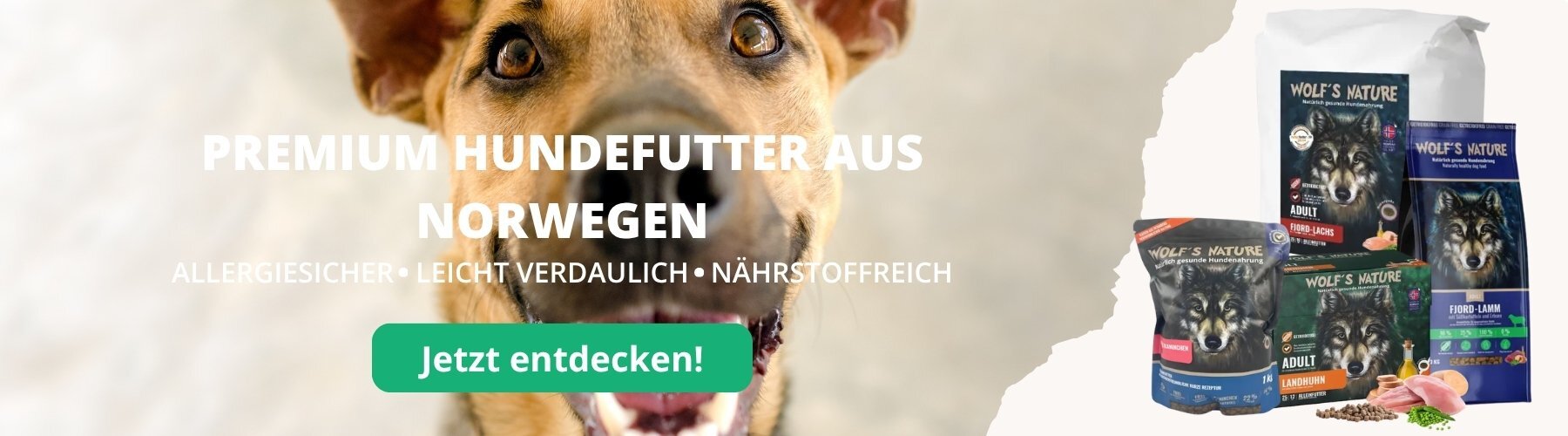 Brauner Hund, der nach oben in die Kamera guckt und lächelt.