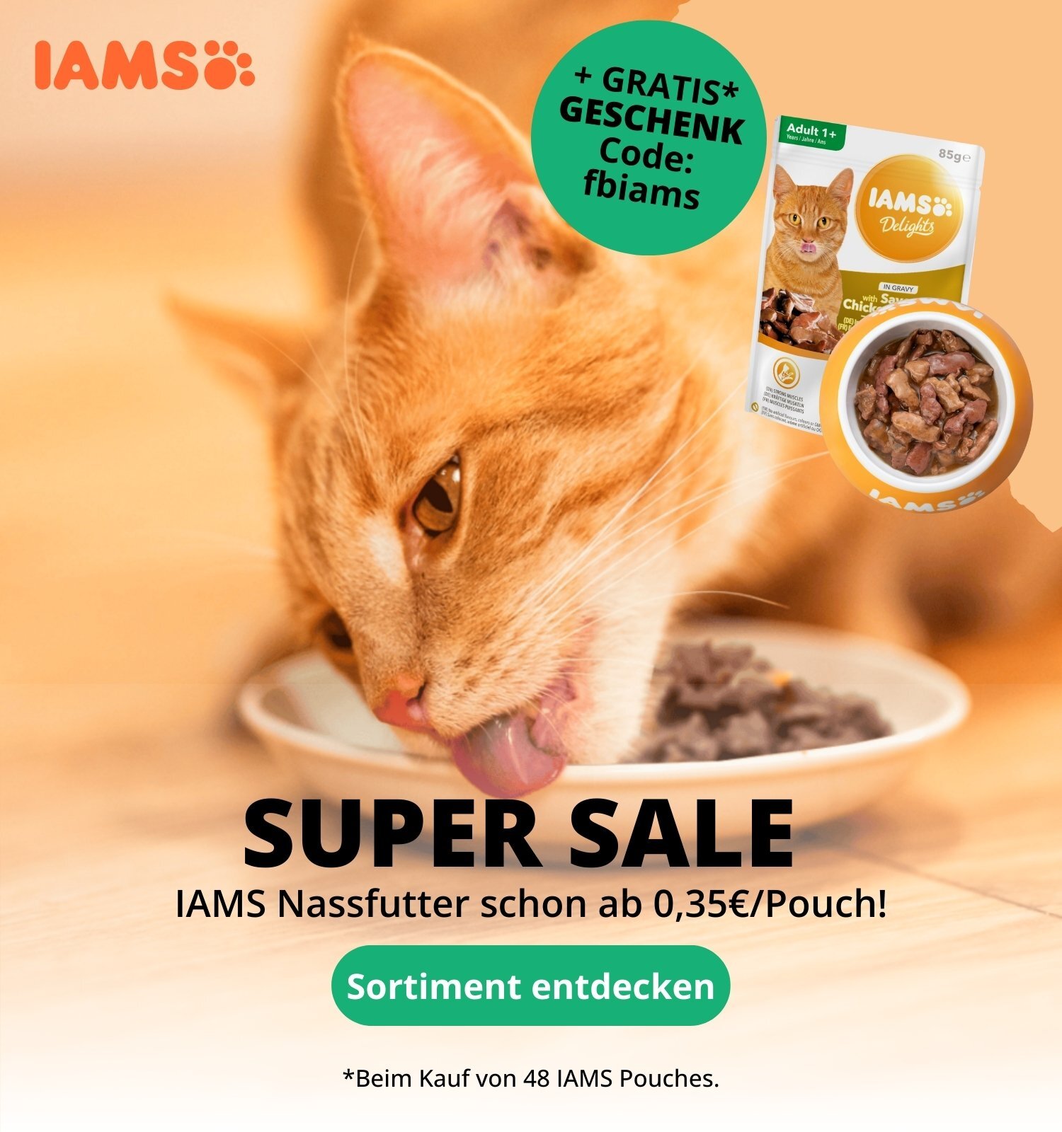 Orange Katze schleckt am Napf, IAMS Delights Katzenfutter Aktion (Sonderpreise und gratis Geschenk)