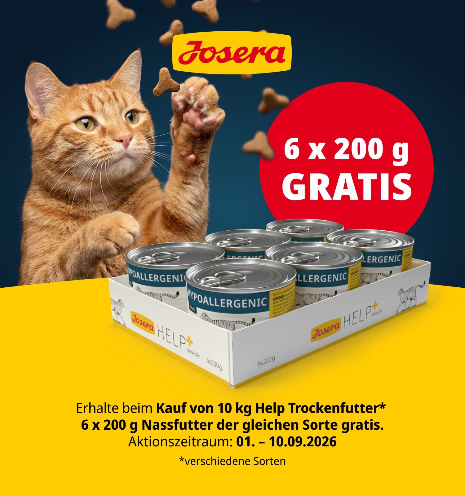 Orangefarbene Katze greift in der Luft nach Leckerlies. Beim Kauf von 10 kg Josera Help Trockenfutter gibt es 6 x 200 g Nassfutter der gleichen Sorte gratis dazu.