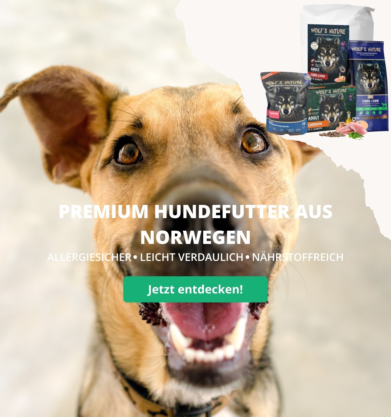 Brauner Hund, der nach oben in die Kamera guckt und lächelt.