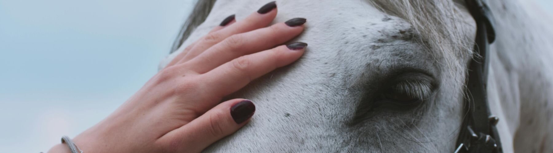 Weibliche Hand mit dunkelrotem Nagellack streichelt...
