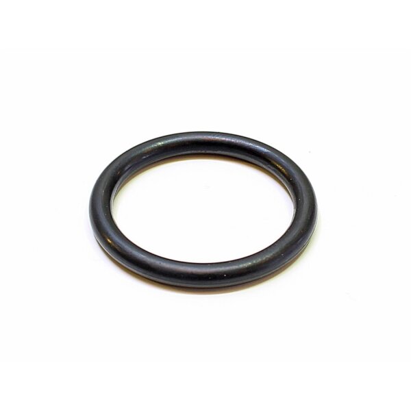 EHEIM Dichtungsring 2250/2260, 3455/3465/3480/3481