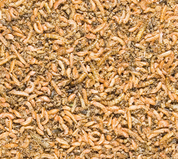 Menu Nature Insect Mix 250g