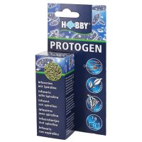 HOBBY Protogen