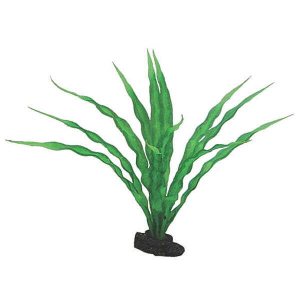 HOBBY Crinum 29 cm