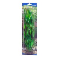 HOBBY Vallisneria 20 cm