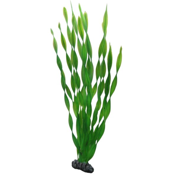 HOBBY Vallisneria 46 cm