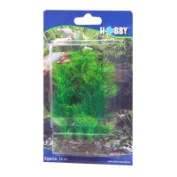 HOBBY Egeria 13 cm