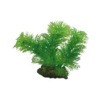 HOBBY Egeria 13 cm