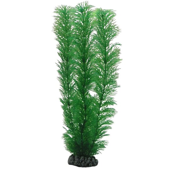 HOBBY Egeria 20 cm