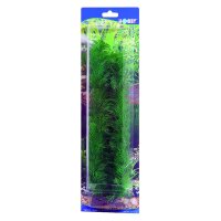 HOBBY Egeria 34 cm