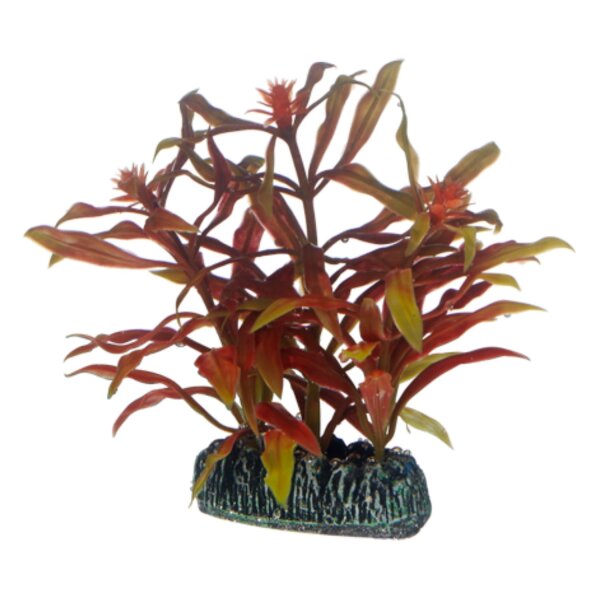 HOBBY Nesaea 7 cm