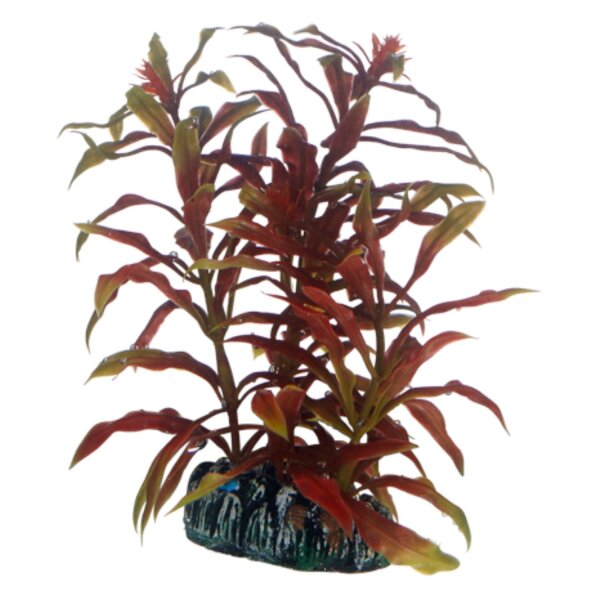 HOBBY Nesaea 13 cm