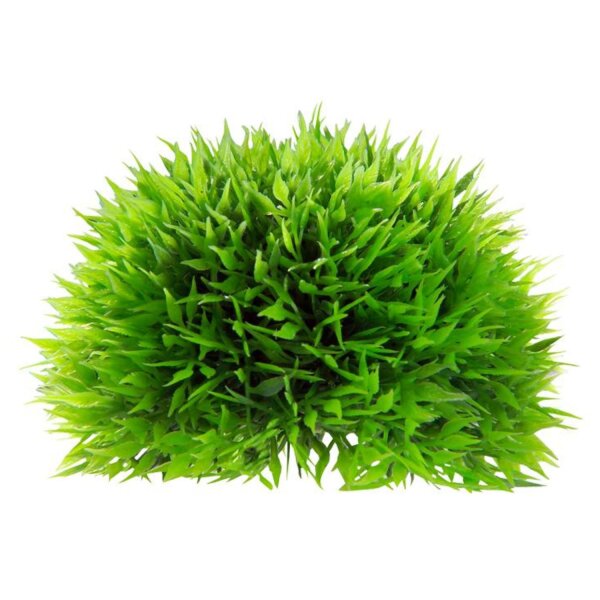 HOBBY Plant Ball