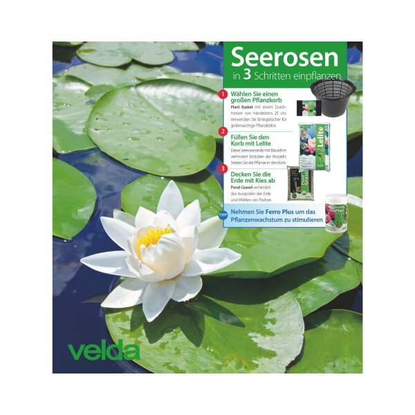 Velda Lelite Nährboden