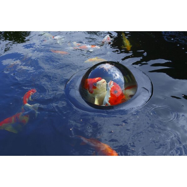 Velda Floating Fish Dome