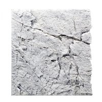 Back to Nature Slim Line Back Wall White Limestone 60A - L: 50 x H: 55 cm