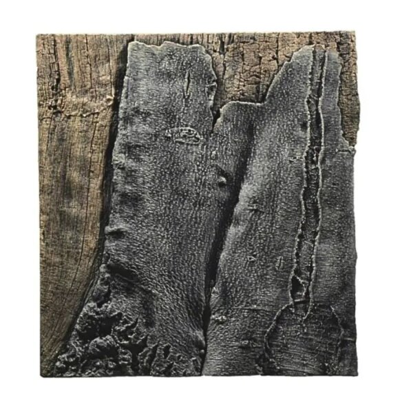 Back to Nature Slim Line Rückwand Amazonas 60B - L: 50 x H: 55 cm