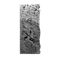 Back to Nature Slim Line Rückwand River 60C - L: 20...