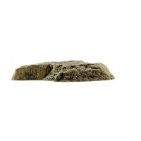 Back to Nature Aquarium Modul Sand F L: 65cm B: 50cm H: 10cm