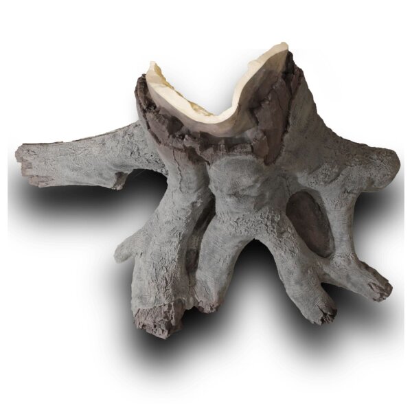 Back to Nature Amazonas Wood Root XL Maße: 140 x 80 x 120 (LxBxH) cm
