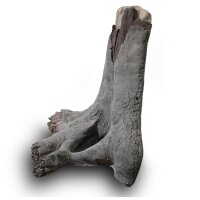 Back to Nature Amazonas Wood Root XL Maße: 140 x 80 x 120 (LxBxH) cm