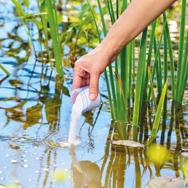 Oase AquaActiv OxyPlus
