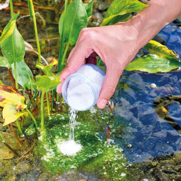 Oase AquaActiv AlGo Direct