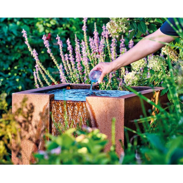 Oase AquaActiv AlGo Fountain