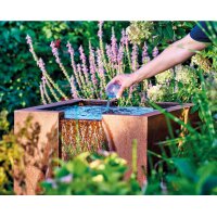 Oase AquaActiv AlGo Fountain
