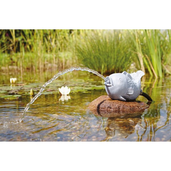 Oase Wasserspeier Fisch