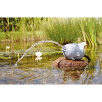 Oase Wasserspeier Fisch