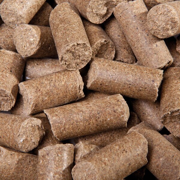 Eggersmann Lecker Bricks Karotte 1 kg