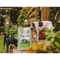 Green Petfood VeggieDog Grainfree