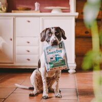 Green Petfood InsectDog Sensitive