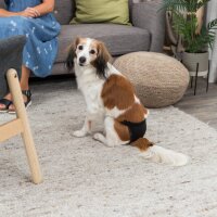 TRIXIE Schutzhöschen XL