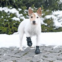 TRIXIE Pfotenschutz Walker Active L 2 Stk.