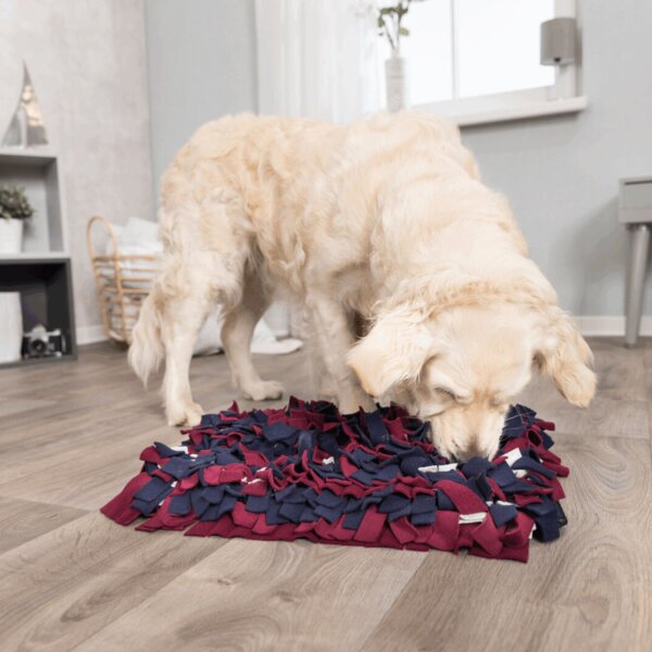 TRIXIE Dog Activity Schnüffelteppich 50 x 34 cm