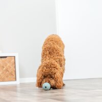 TRIXIE Snackball