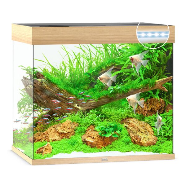 JUWEL Lido 200 LED helles Holz