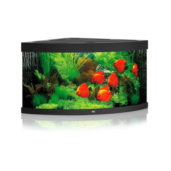 JUWEL Trigon 350 LED schwarz