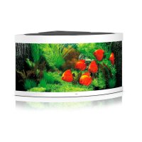 JUWEL Trigon 350 LED weiß