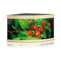 JUWEL Trigon 350 LED helles Holz