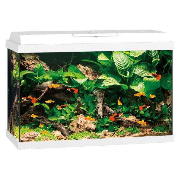 JUWEL Primo 70 LED