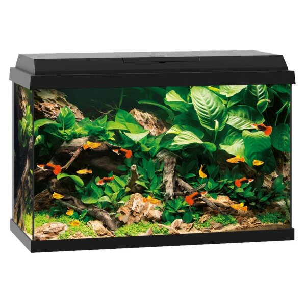 JUWEL Primo 70 LED schwarz