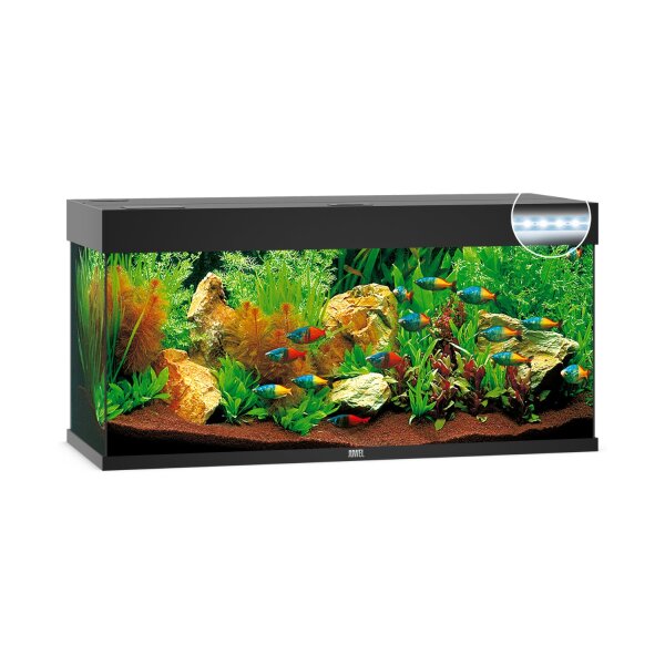 JUWEL Rio 240 LED schwarz